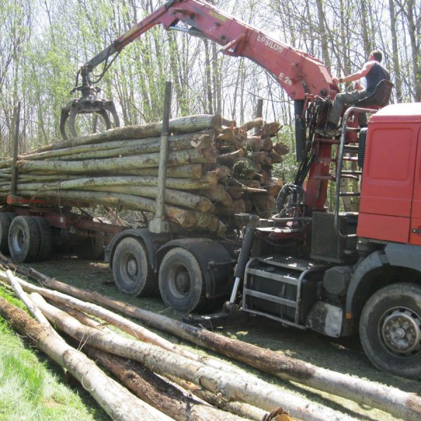 CHESTNUT TRUNK, CAMINHÃO DE 50 MARCHAS